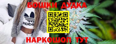 ПСИЛОЦИБИНОВЫЕ ГРИБЫ Канаш
