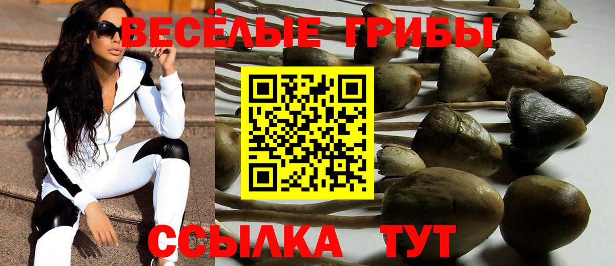 Галлюциногенные грибы ЛСД  Псилоцибиновые грибы Cubensis  Кубинка  Вход с VPN 